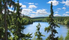 Eckertalsperre im Nationalpark Harz